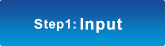 Step 1: Input